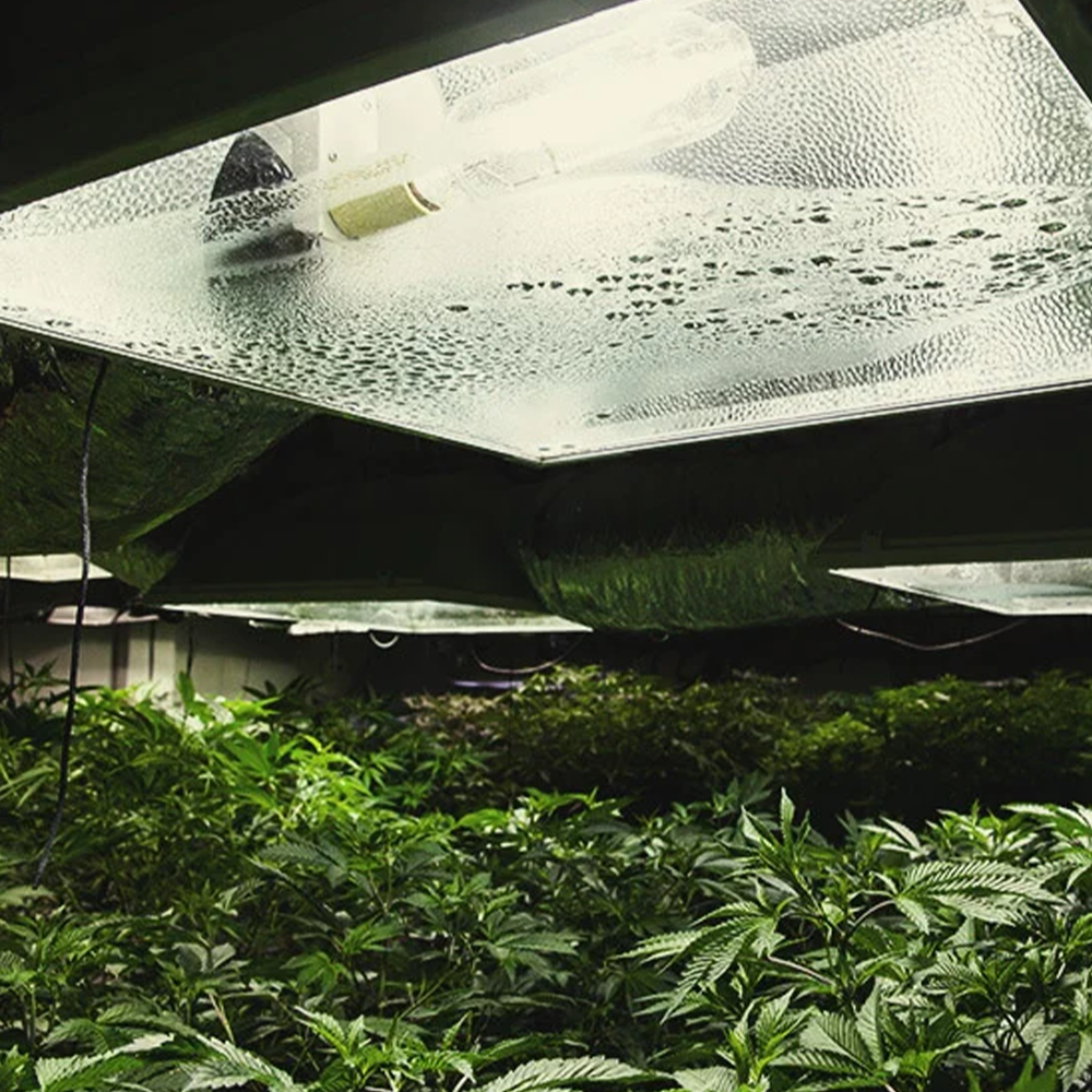 Reflektoren & Cooltubes Growshop Bild für Indoor Growing Growbox und Grow Zubehör