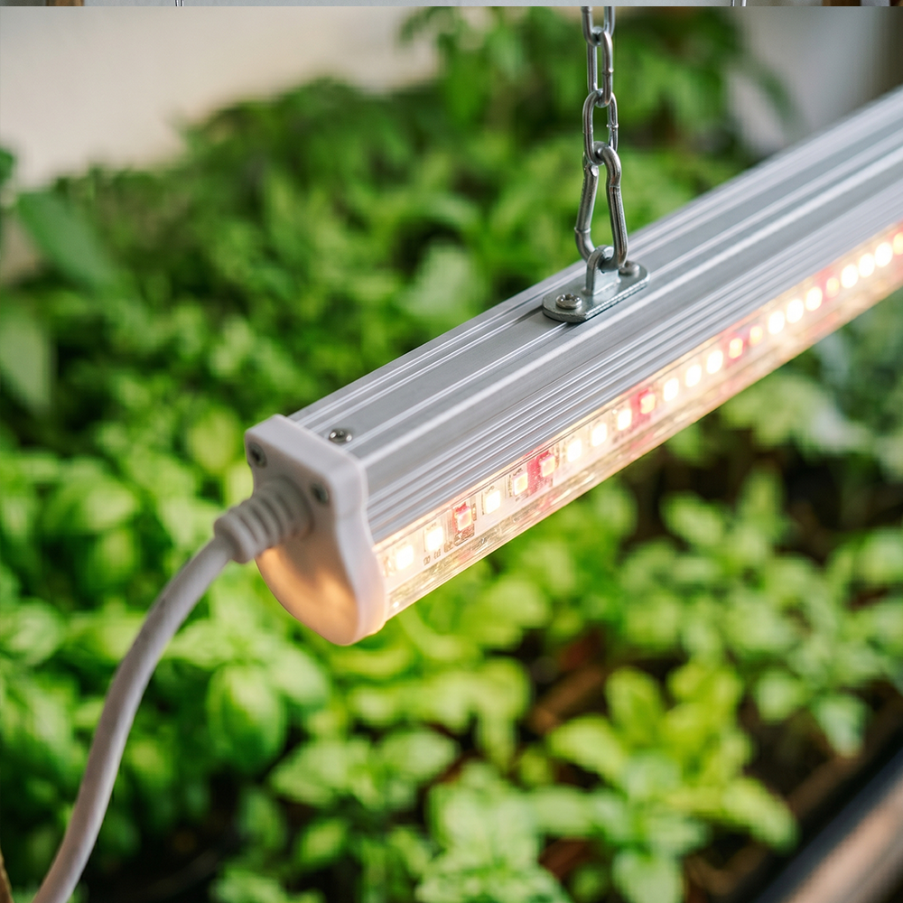 Grow Beleuchtung für Indoor-Grow und Pflanzenzucht