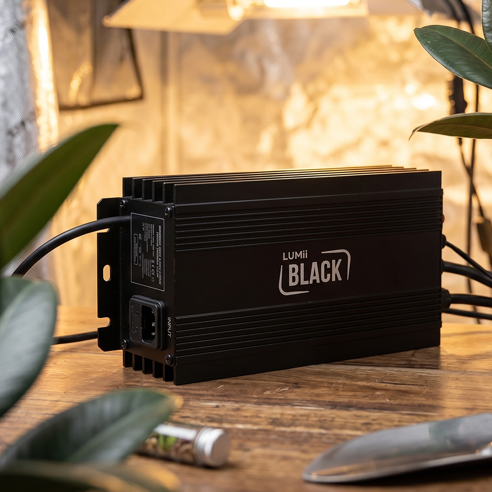 Vorschaltgerät für HPS und NDL Growlampen im Indoor-Grow